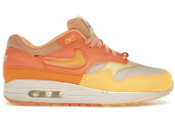 Puerto Rico Orange Frost Nike Air Max 1