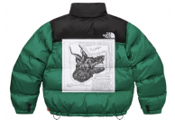 Supreme The North Face Nuptse Jacket Green